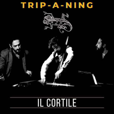 COVER TRIP A NING IL CORTILE